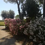 Podere Simonetta - A8 * 체치나